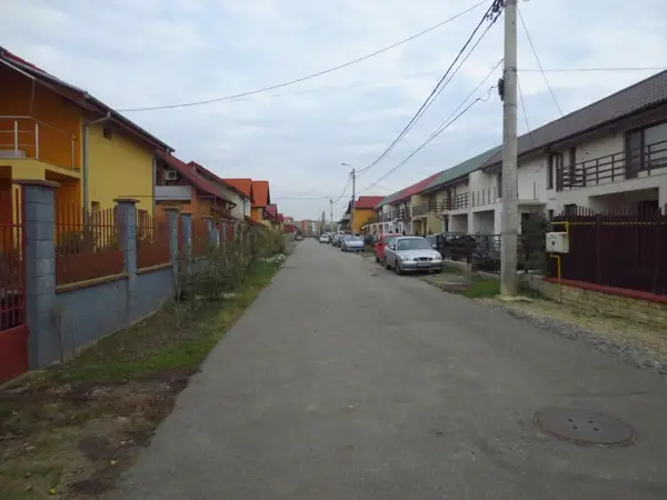 Strada Arinului