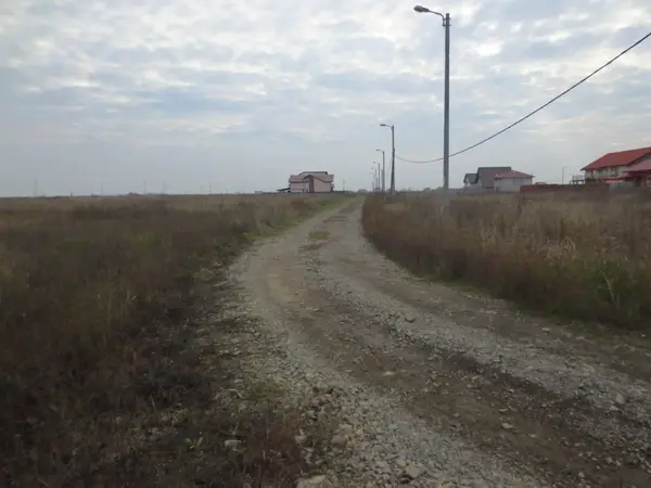 Strada Azaleelor