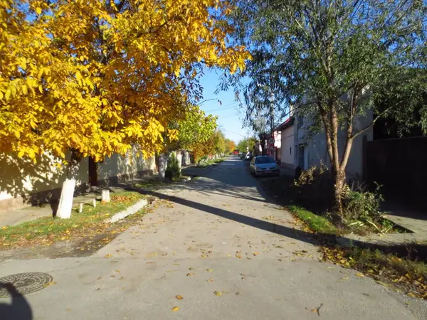 Strada Banul Severinului