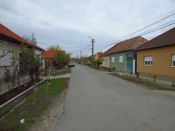 Strada Carabusului