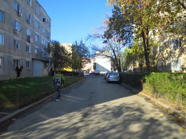 Strada Ciobanului