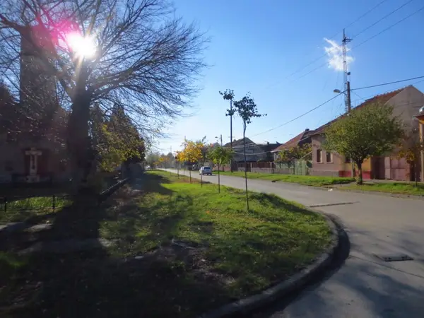 Strada C. A. Rosetti