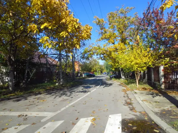 Strada Costinesti