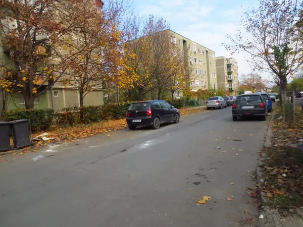 Strada Dr. Lucian Georgevici