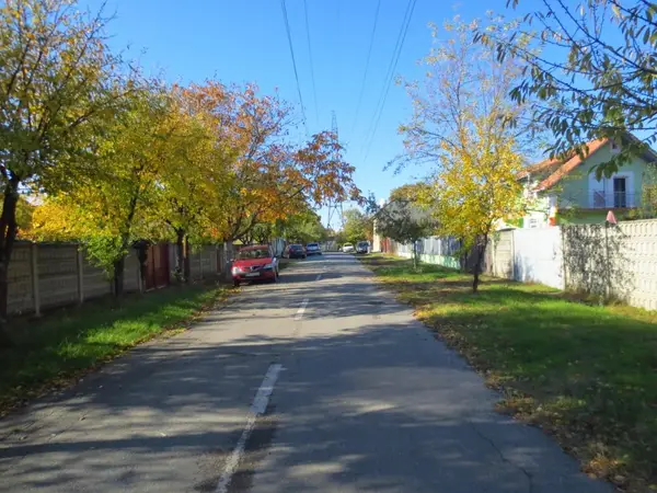 Strada Dumitrie Tichindeal