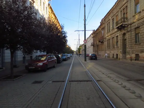 Strada Gheorghe Doja