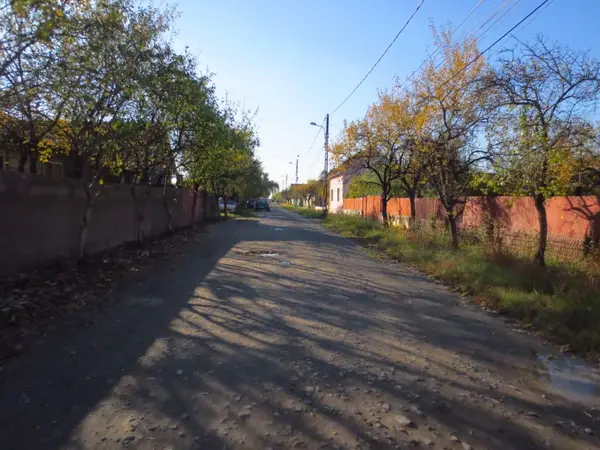 Strada Homorod
