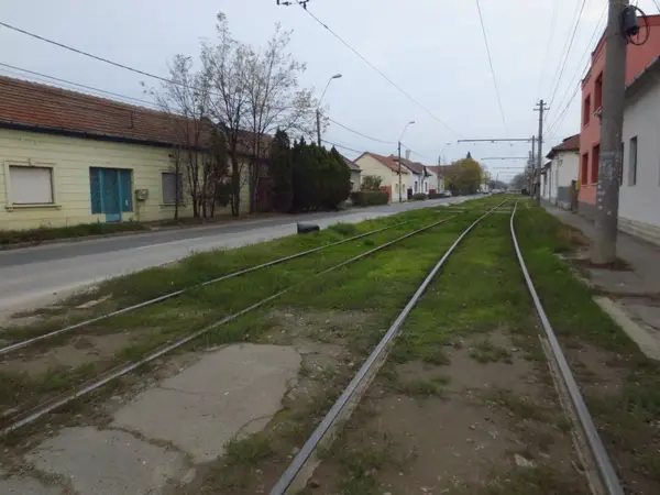Strada Ivan Petrovici Pavlov