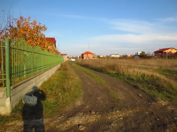 Strada Marius Moga