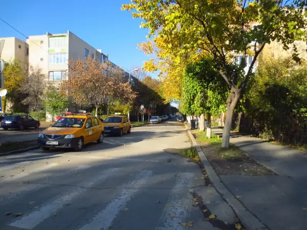 Strada Maslinului