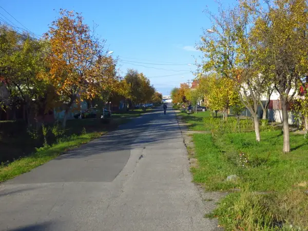 Strada Mesteacanului