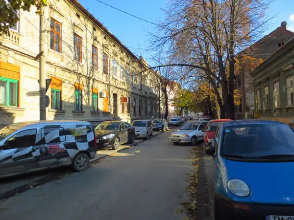 Strada Miron Costin