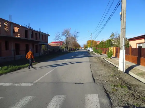 Strada Pelinului