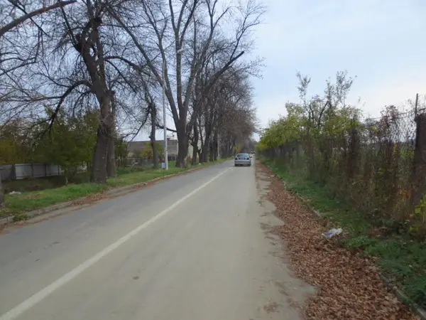 Strada Rozelor