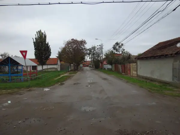 Strada Satu Mare