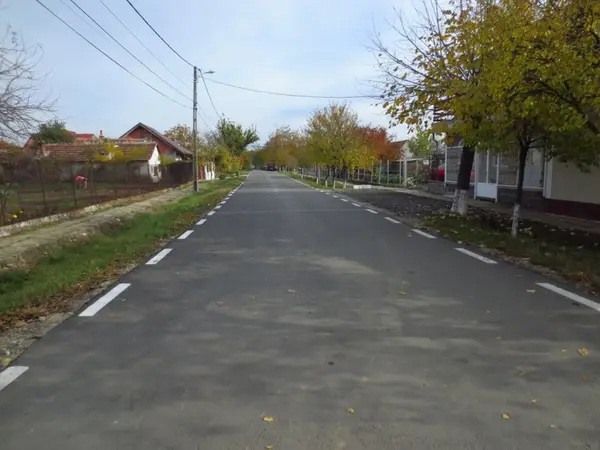 Strada Traian Demetrescu