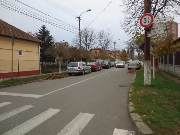 Strada Vasile Lupu