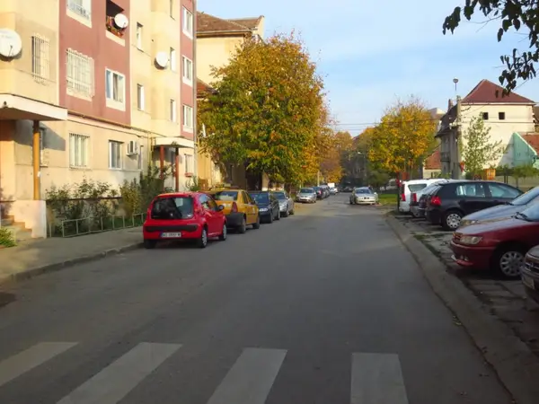 Strada Viorelelor