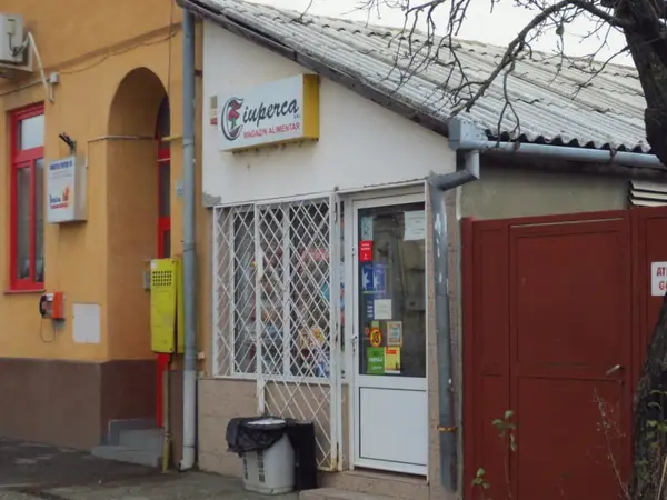 Ciuperca