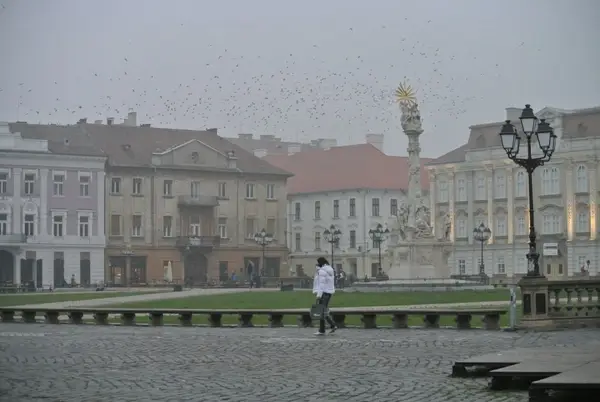 Timisoara