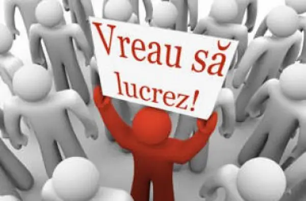 Locuri de munca in Timisoara