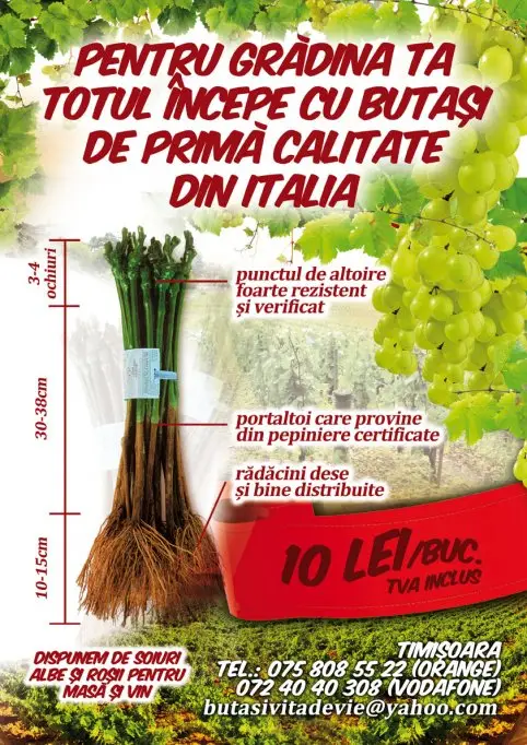 Vand butasi vita de vie Italia (VCR)