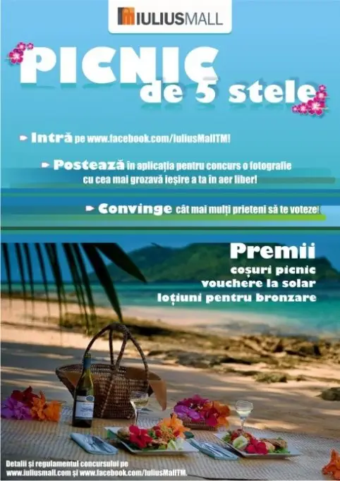 PICNIC DE 5 STELE