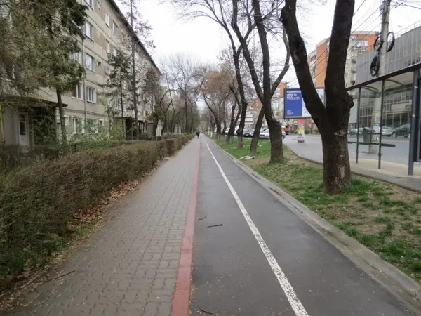 Pista bicicleta - Calea Torontalului
