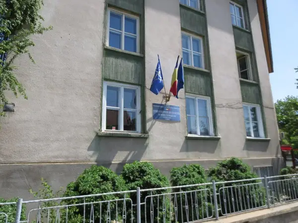 Centrul Scolar pentru Educatie Incluziva Dumitru Ciumagianu