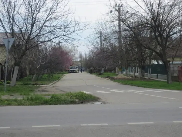 Strada Tacit