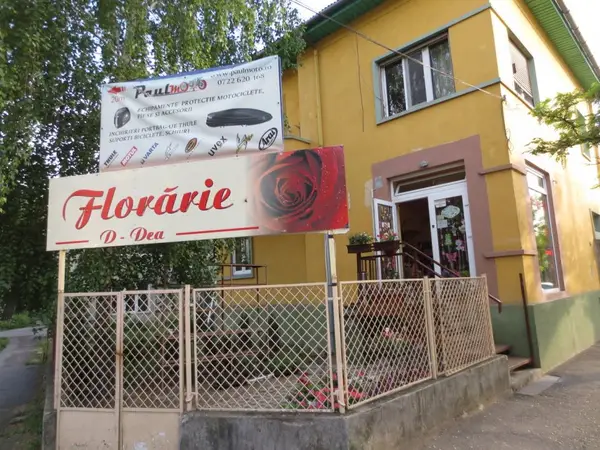 Floraria D - Dea