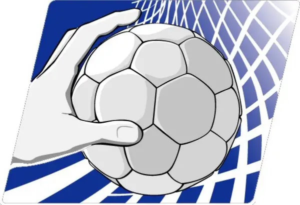 Asociatia Judeteana de Handbal Timis