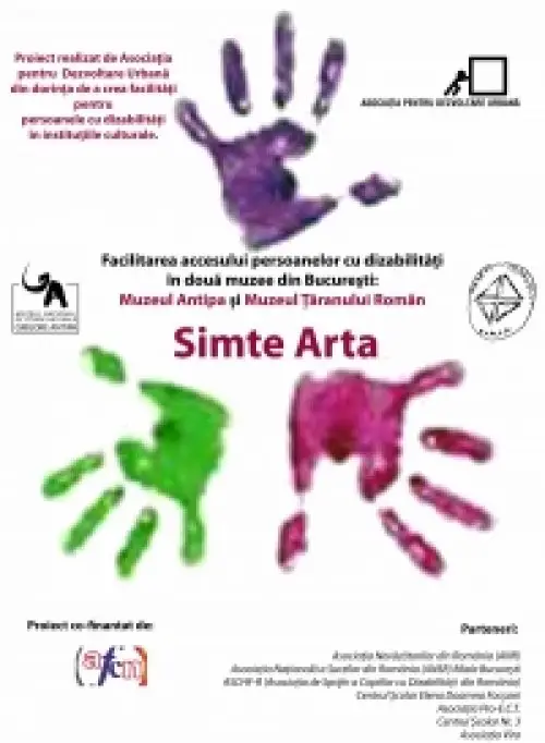 Simte Arta la Timisoara