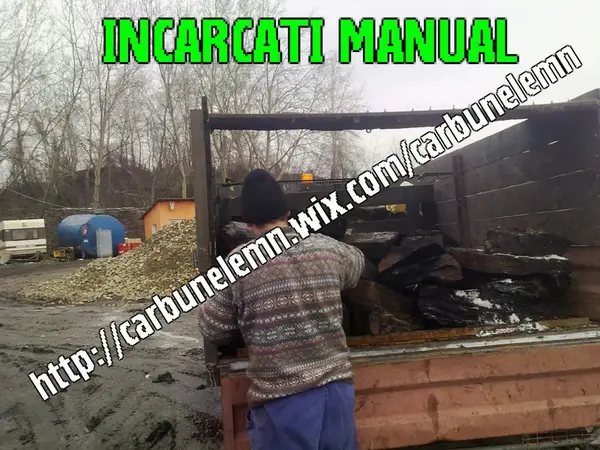 Carbuni lignit
