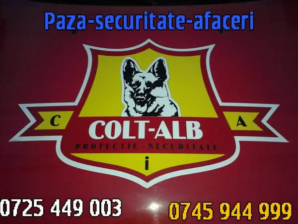 Colt Alb Security International