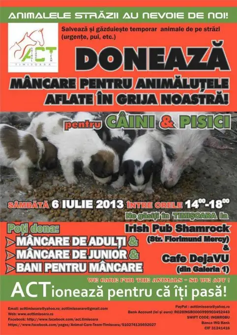 Doneaza mancare pentru animalute gazduite de ACT
