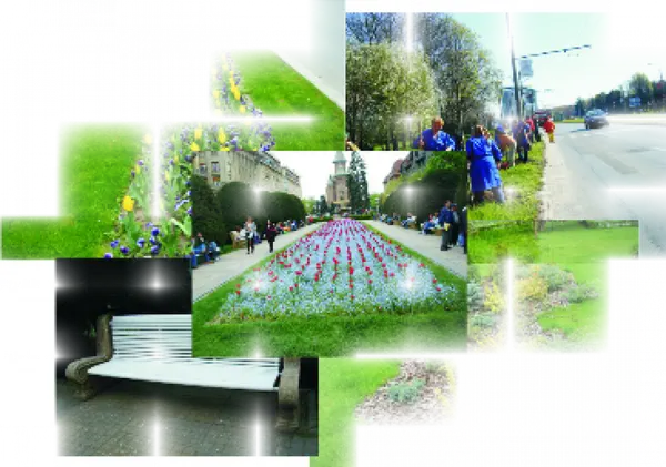 Horticultura