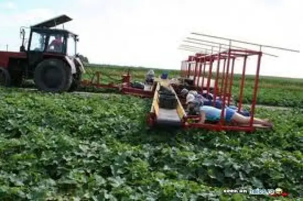 Recrutari pentru  munca in agricultura Germania