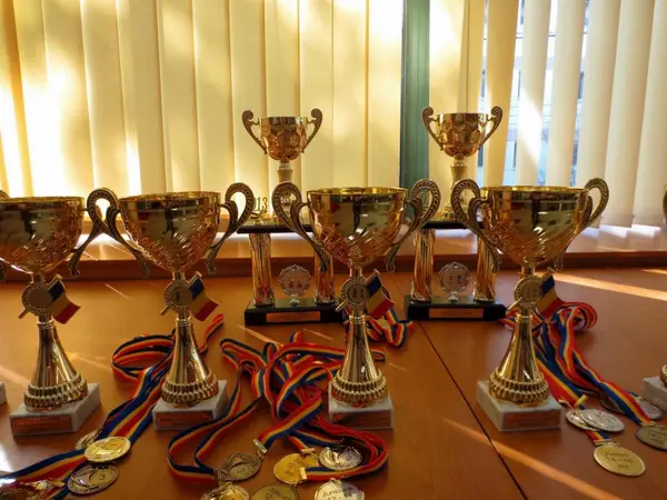 Open International de Sah - Timisoara 2013