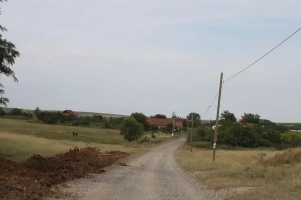 Petrovaselo