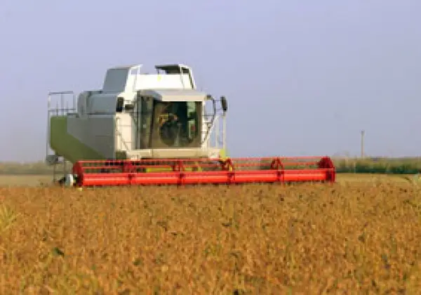 Directia pentru Agricultura a judetului Timis