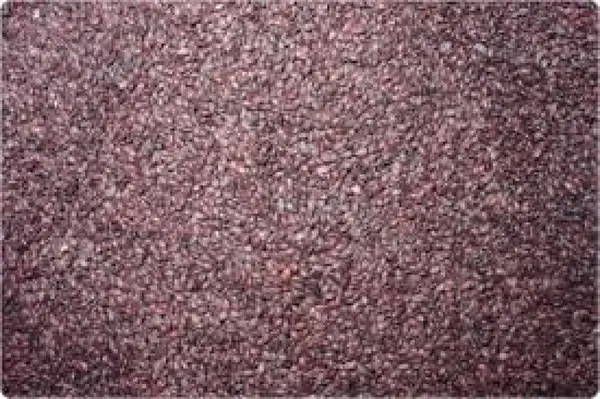 Seminte aronia