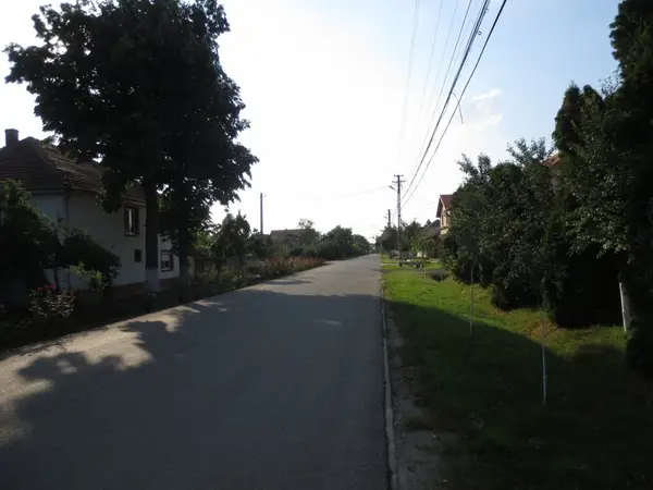 Strada Eftimie Murgu