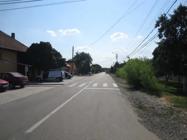Strada Plopilor