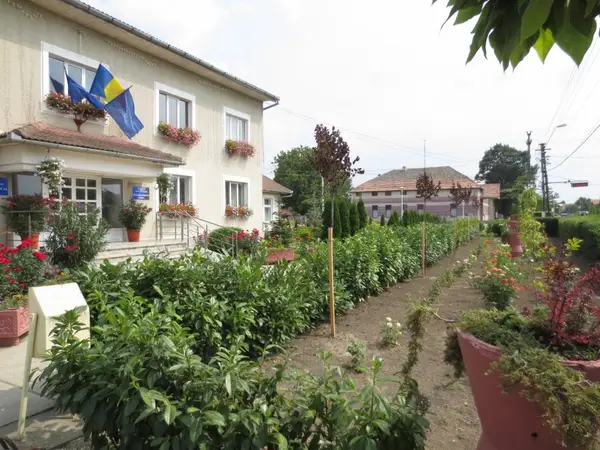Voiteg
