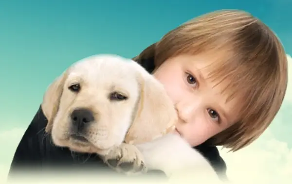 Pensiunea Canis