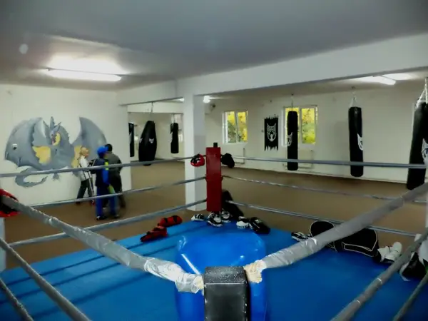 Cursuri Kick-boxing