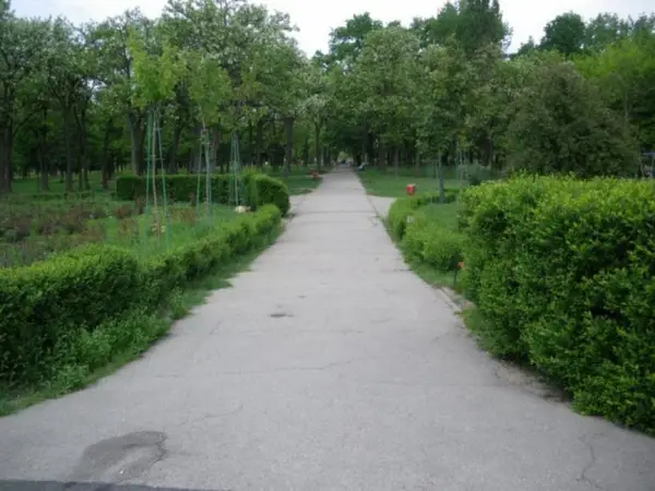 Parcul Lidia (Padurice)