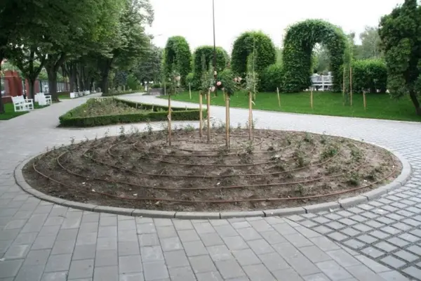 Parcul Rozelor