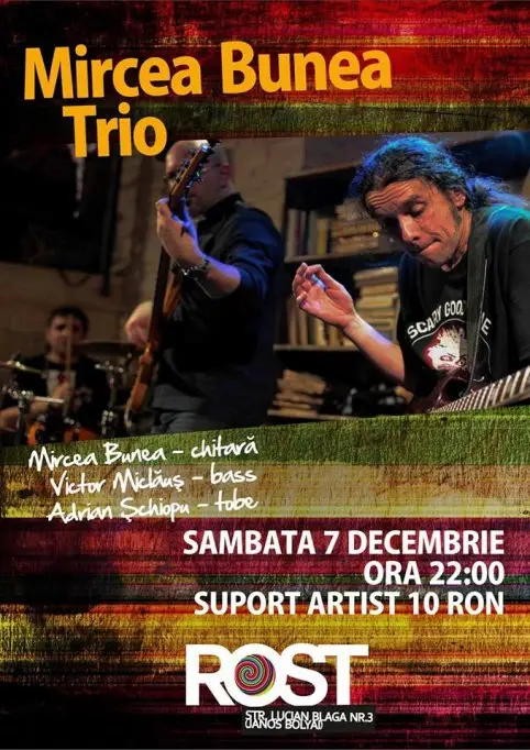 Concert Mircea Bunea Trio
